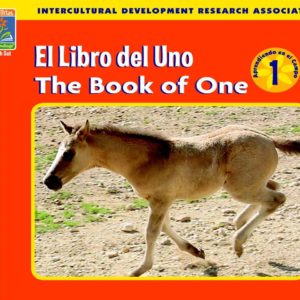 1 - El Libro del Uno ~ The Book of One