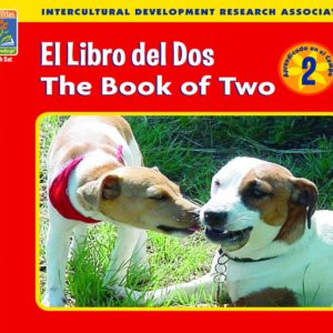 2 - El Libro del Dos ~ The Book of Two